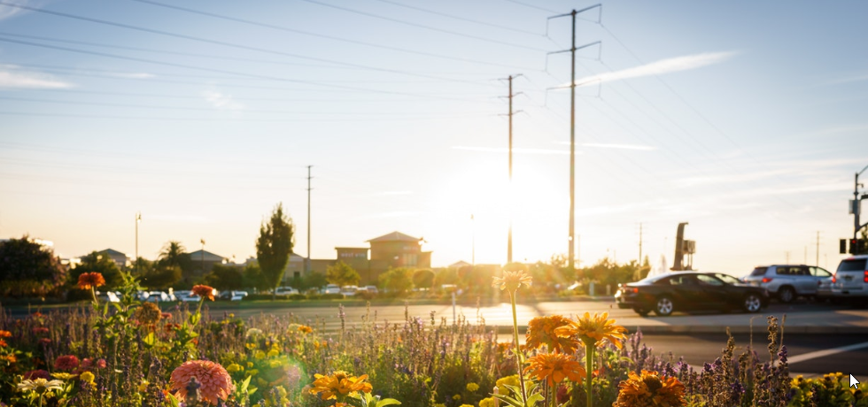 Utility poles