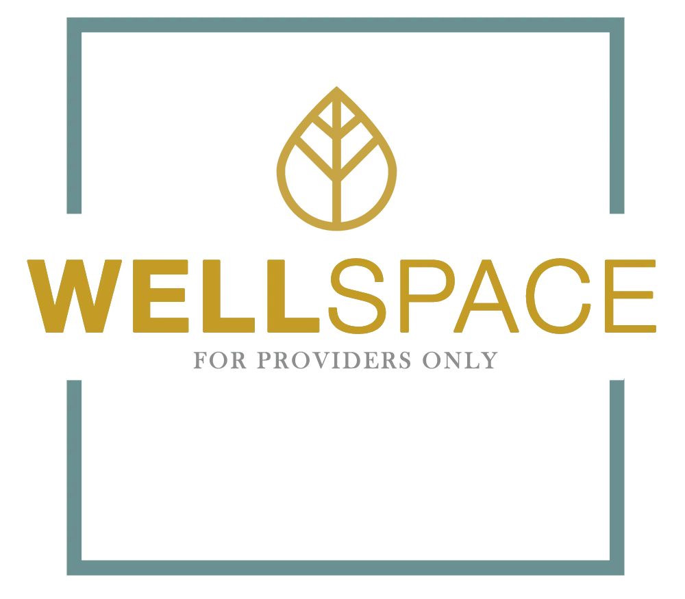 WellSpace logo